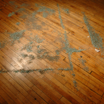 Detroit Diamonds (4/15/09, 11:27 a.m.)