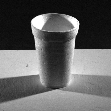 Styrofoam Cup