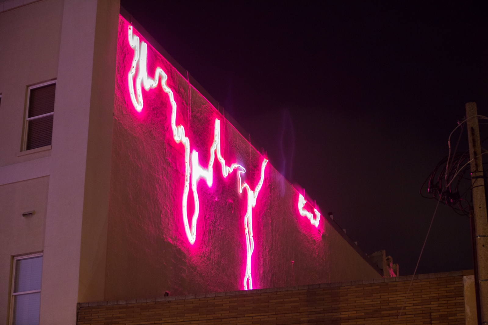 Seep NFK Installed in the NEON District 801 Granby Street, Norfolk Virginia. Unveiled September 2016
