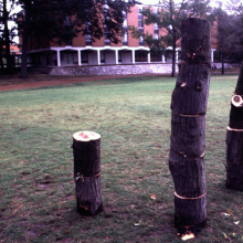 tree_build_erik_peterson_2002.jpg
