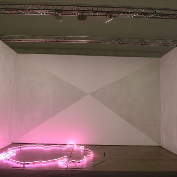 Flash Wall (no flash)