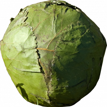 SWWMYOSBL Hall of Fame